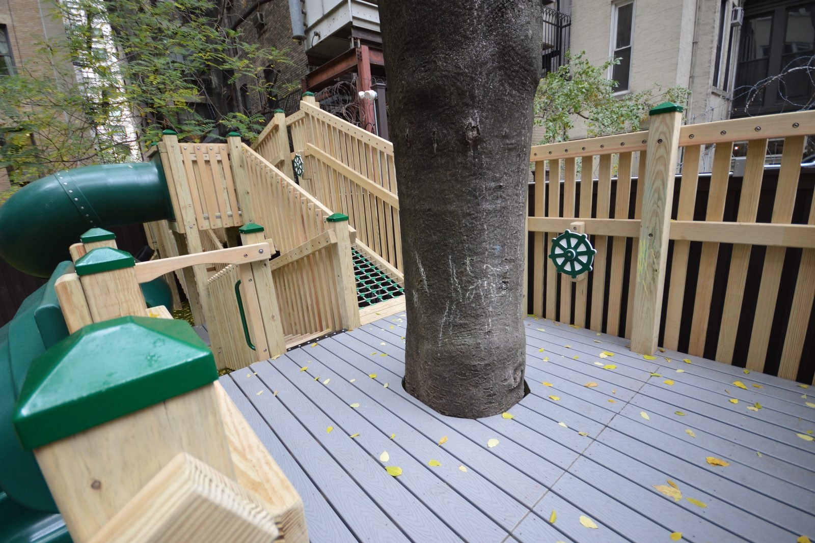 Finished: upper deck built around the courtyard tree trunk.
